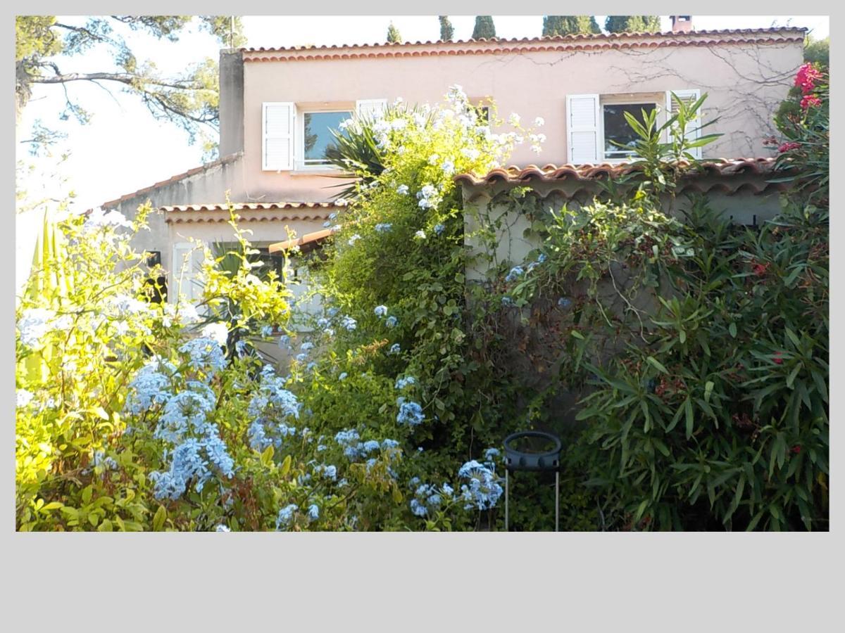 Frarocka Séjour chez l'habitant